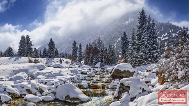 Охраняемые природные территории и заповедное дело