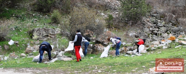 Дом стал чище на две тонны мусора