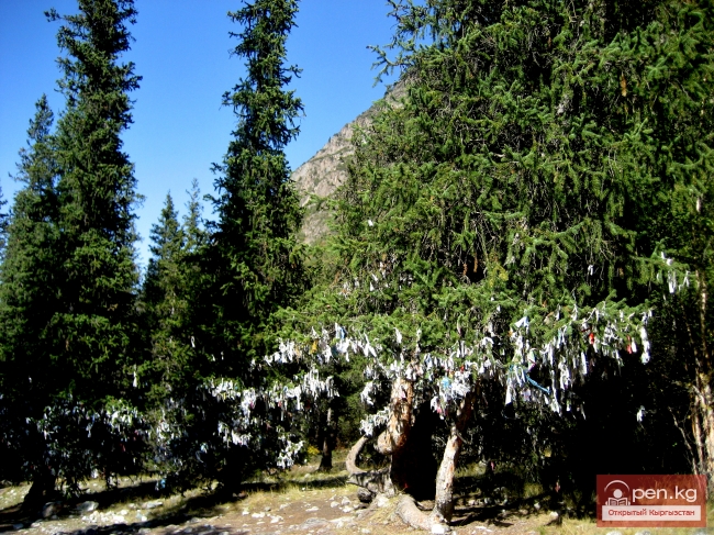 Традиции кыргызов