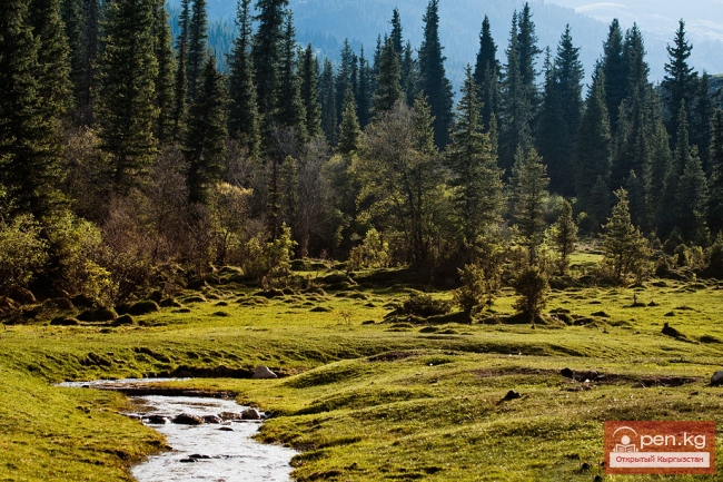 Природный парк Ала-Арча