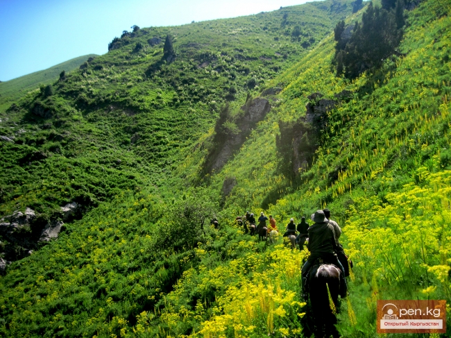 Сары-Челекский заповедник