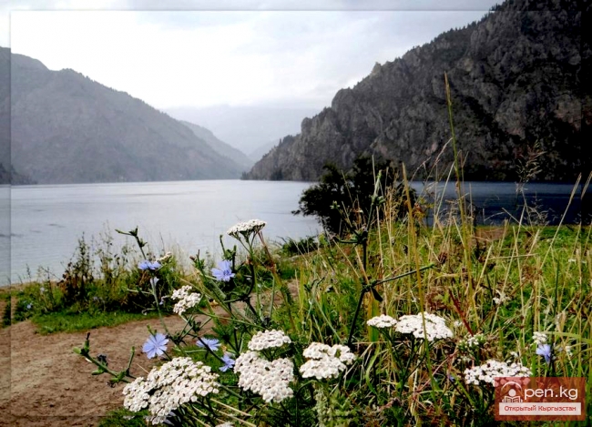 Сары-Челекский заповедник