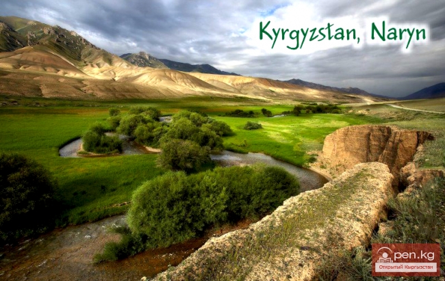 Нарын