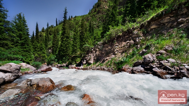 Зона «Кегеты»