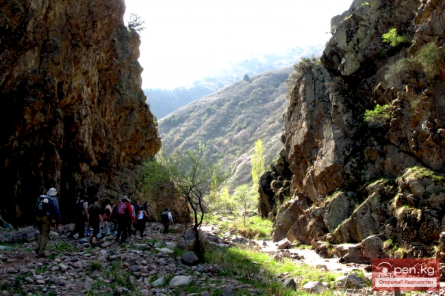 Зона «Аламедин»