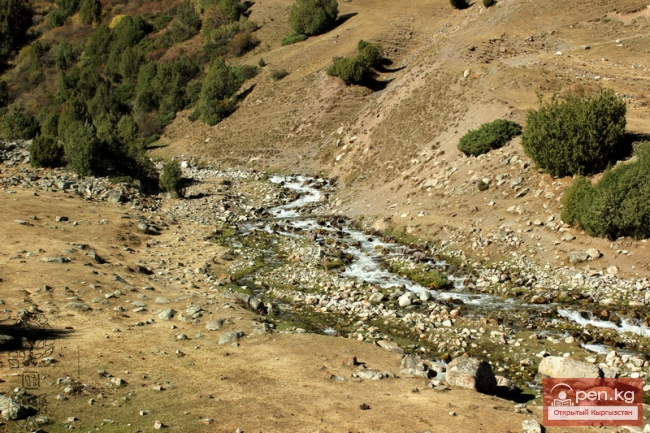 Зона «Аламедин»