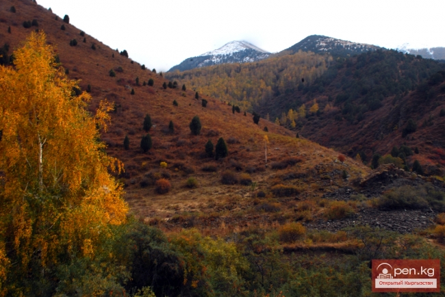 Зона «Ала-Арча»