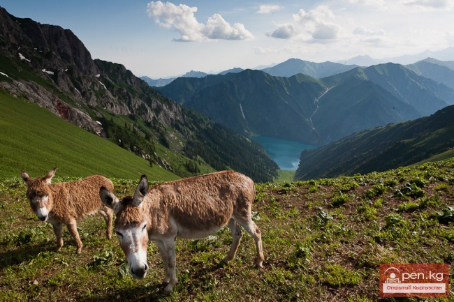 Зона «Сары-Челек»