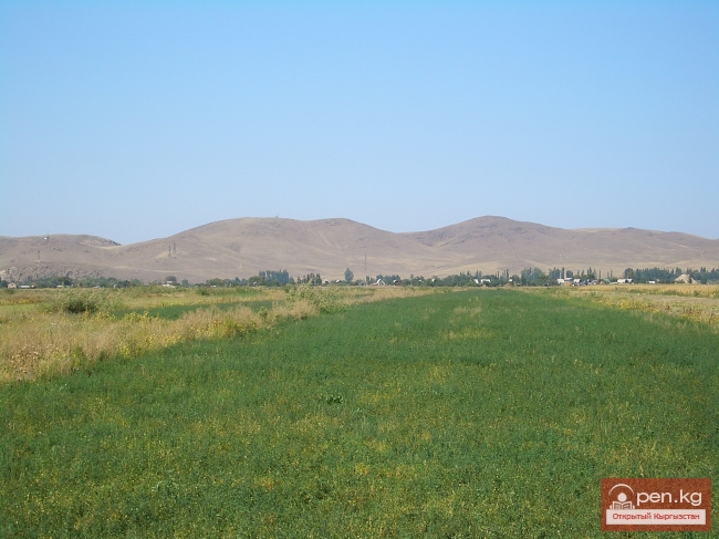 В Узгенском районе из-за повышения уровня воды в реке Жазы под угрозой затопления находится 110 га