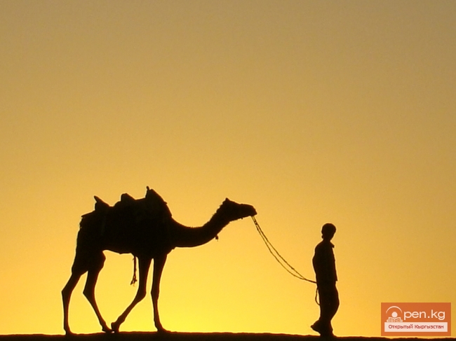 Великий Шелковый путь