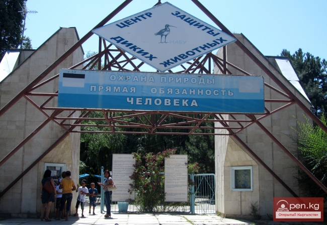 Город Каракол