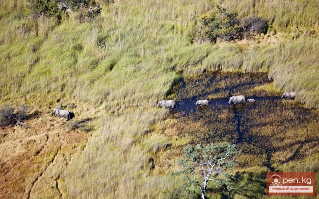 Лагуна сказок и долина слонов