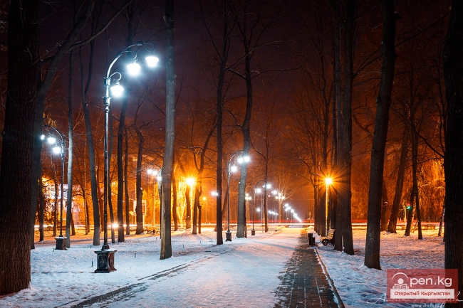 Дорогой вулканов