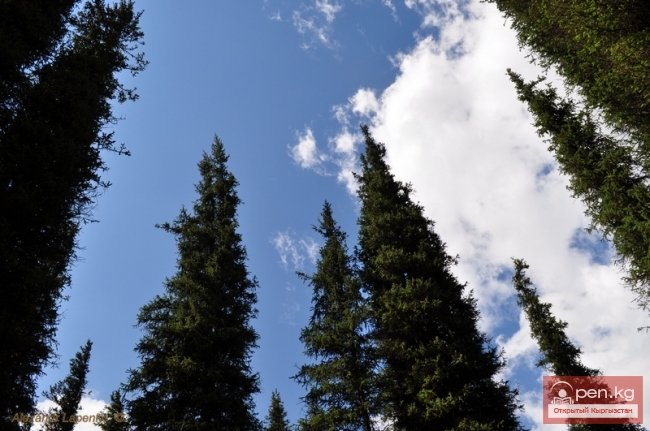 Контрасты южного Кыргызстана