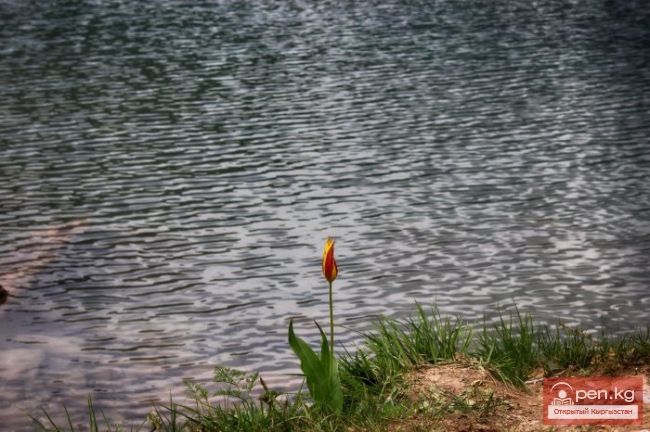 Зона «Яссы»