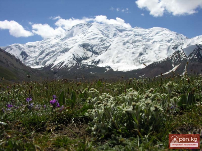 Зона «Памиро-Алай»