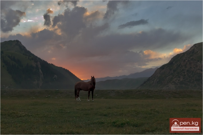 Зона «Ат-Баши»