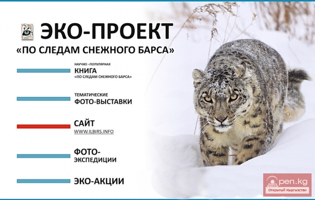 Фотовыставка "По следам снежного барса" открылась в музее ИЗО Бишкека