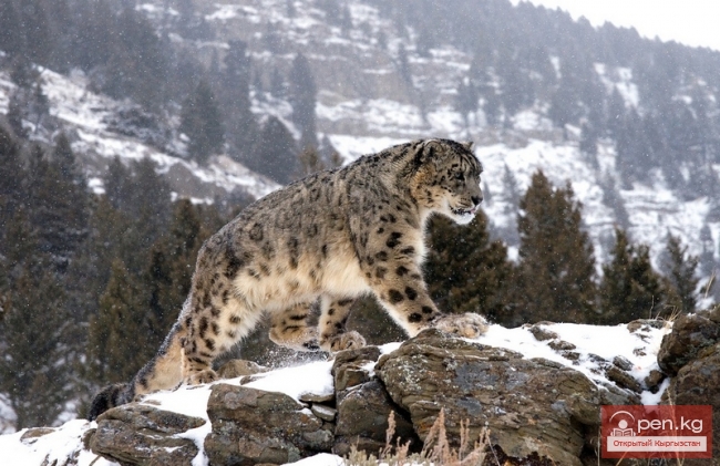 Шедевры искусства в миниатюре 2