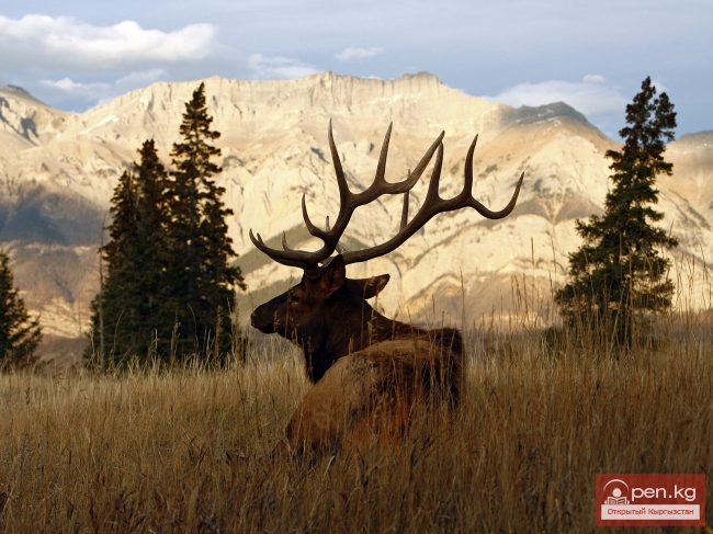 Шедевры искусства в миниатюре 2