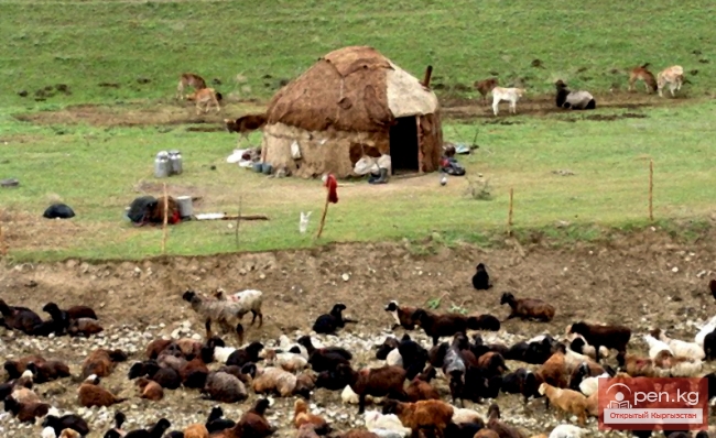 Сельское хозяйство, лесное хозяйство и рыболовство