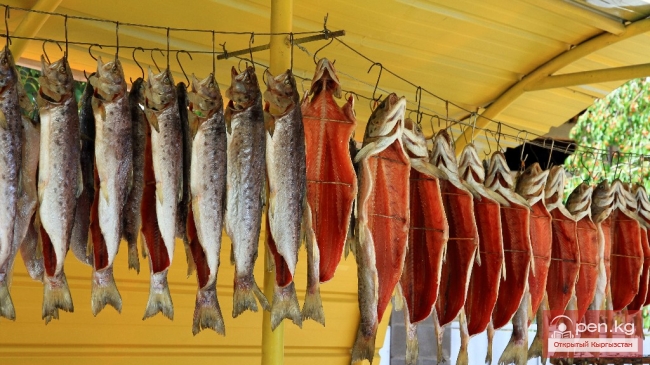 Сельское хозяйство, лесное хозяйство и рыболовство