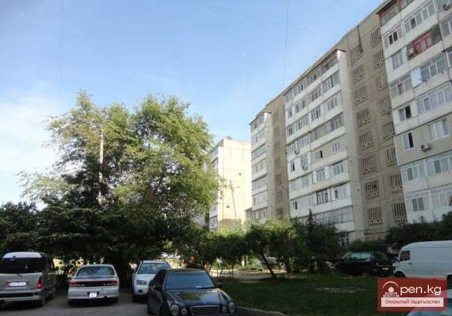 БИЙМЫРЗАЕВ Турдукул Тойгонбаевич