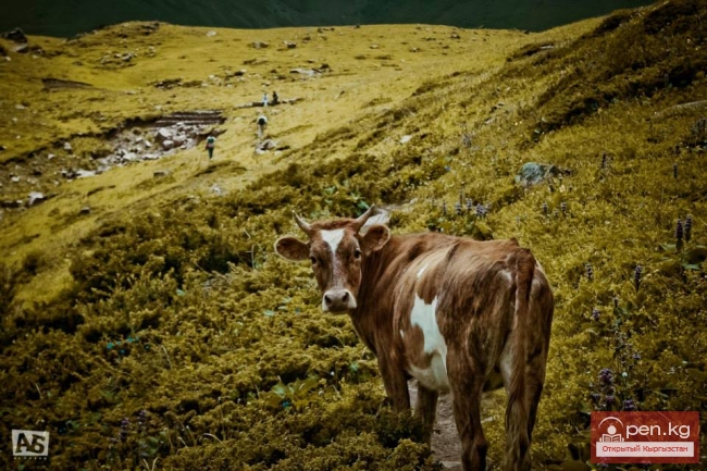 Кегеты и озеро Кёл-Тор