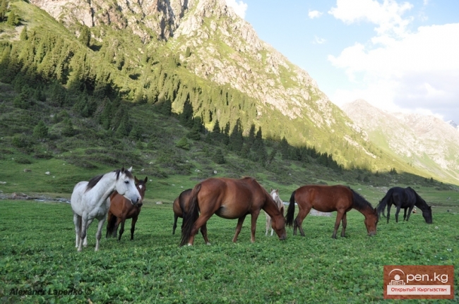Кыргызстан (фотограф Александр Лапенко)
