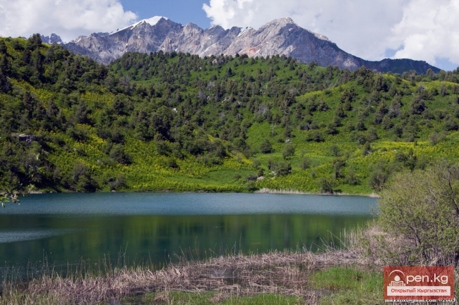 Джалал-Абад