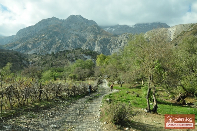 Джалал-Абад