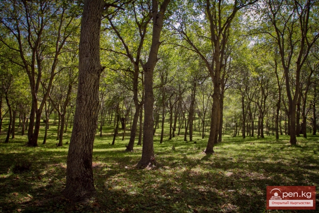 Джалал-Абад