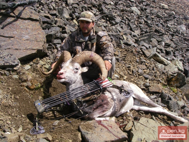 В части районов Кыргызстана запретили охотиться на диких животных