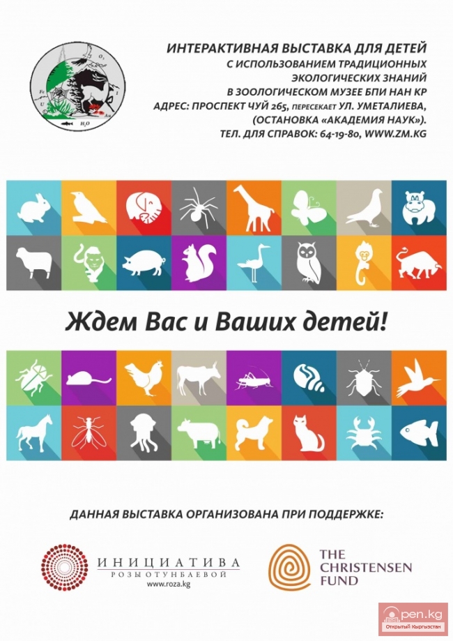 Выставка для детей в Зоологическом музее