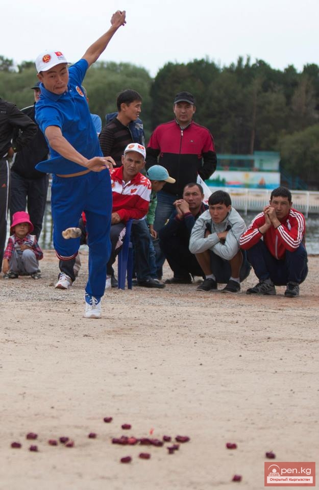 Всемирные игры кочевников 2014