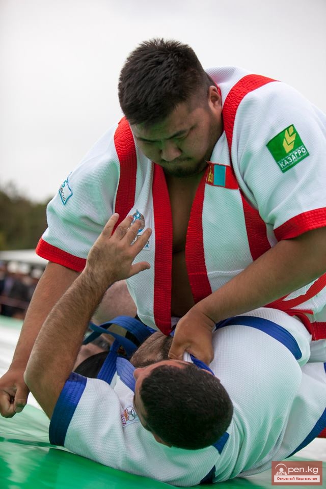 Всемирные игры кочевников 2014