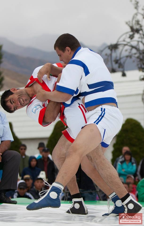 Всемирные игры кочевников 2014