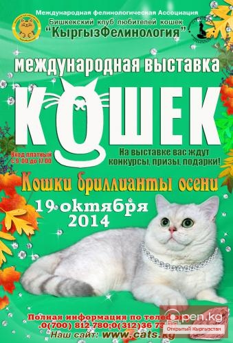 Выставка кошек "Кошки бриллианты осени", 19 октября 2014г.
