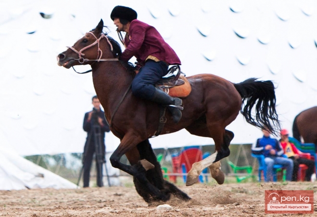 Всемирные игры кочевников 2014