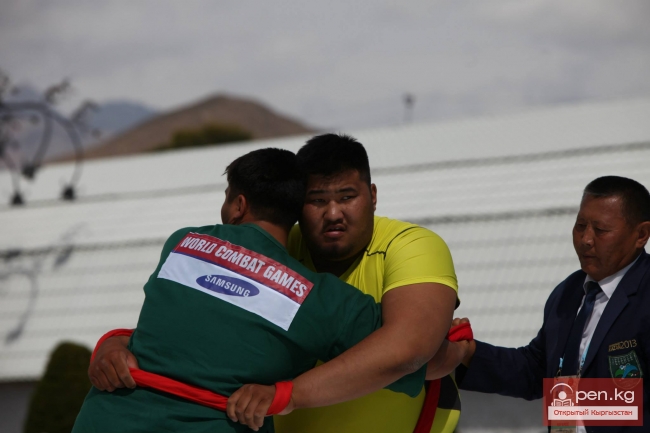 Всемирные игры кочевников 2014