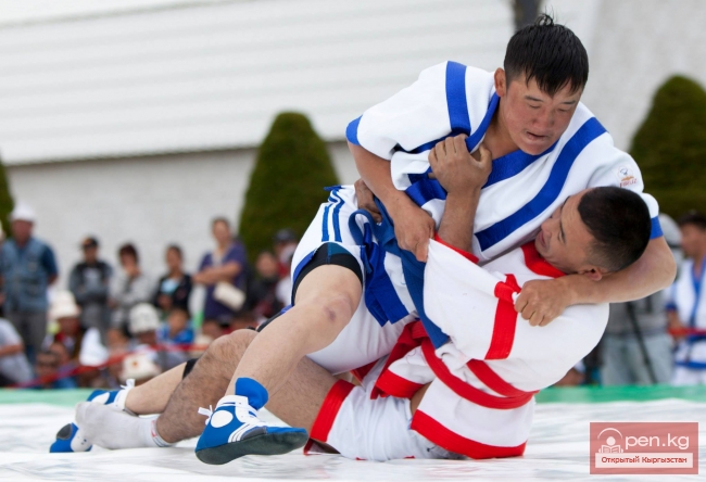 Всемирные игры кочевников 2014