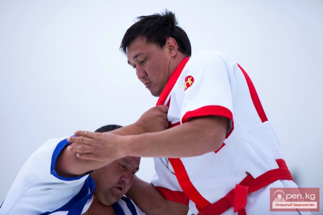 Всемирные игры кочевников 2014