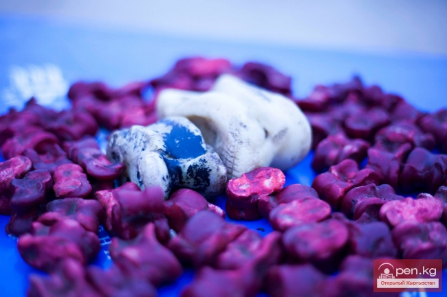 Всемирные игры кочевников 2014