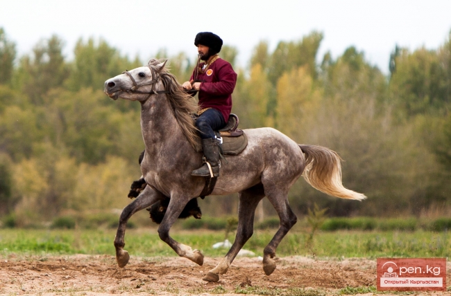 Всемирные игры кочевников 2014