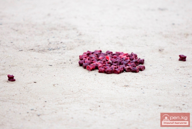 Всемирные игры кочевников 2014