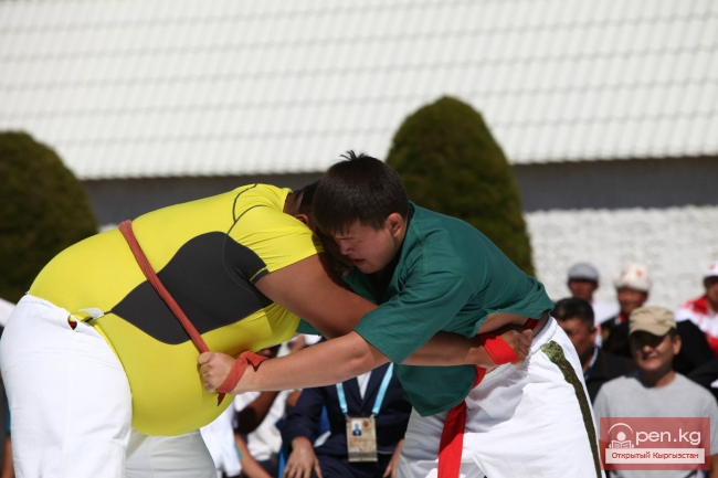 Всемирные игры кочевников 2014