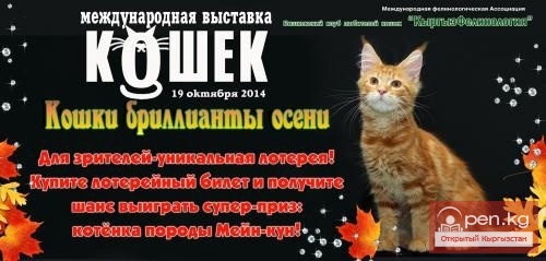 Международная выставка кошек "Кошки - бриллианты осени"