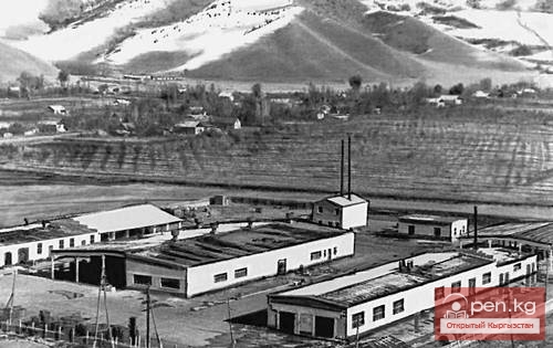 МАМКИН Рашид Султанович