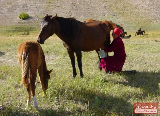 Скотоводство у кыргызов до XX века