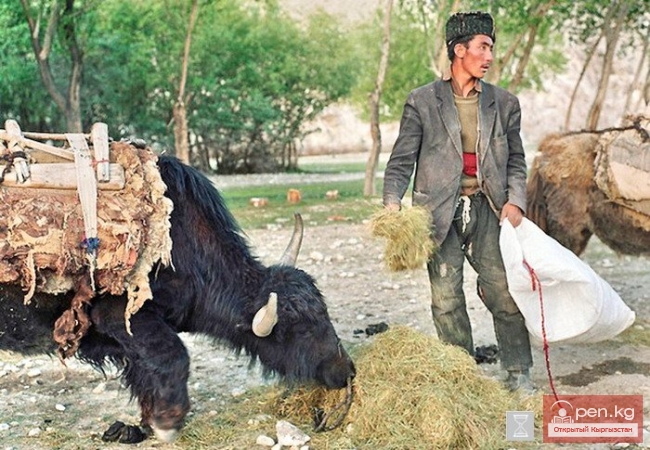 Скотоводство у кыргызов до XX века